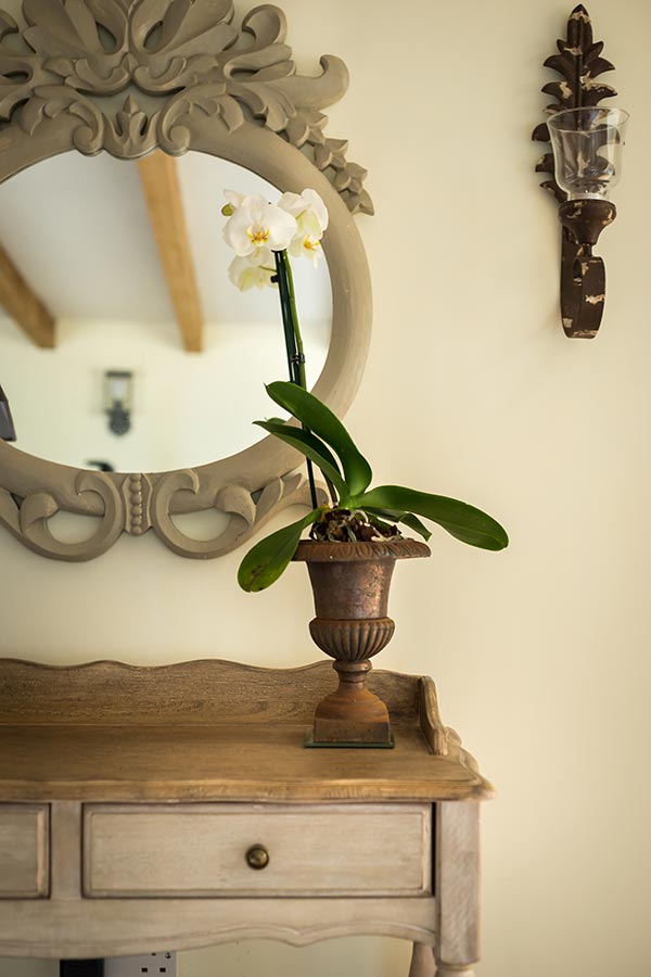 Swallow-Barn-Mirror.jpg