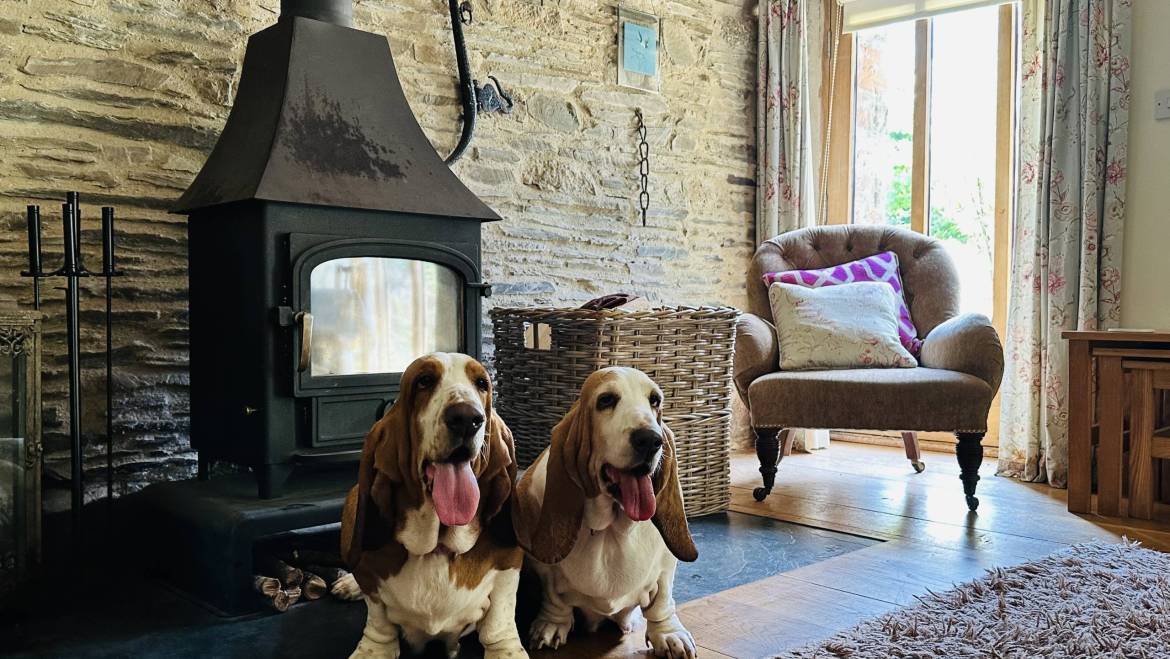 Welcome to Swallow Barn