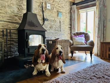 Welcome to Swallow Barn