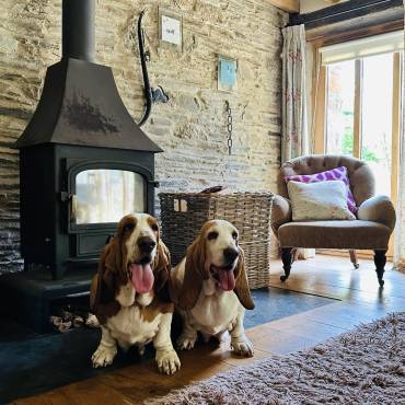 Welcome to Swallow Barn