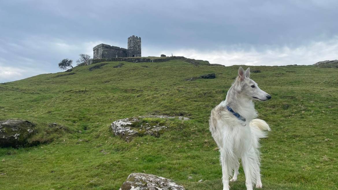 From Moor to Coast: Adventures Around Swallow Barn