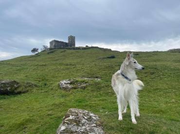 From Moor to Coast: Adventures Around Swallow Barn