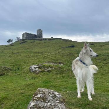 From Moor to Coast: Adventures Around Swallow Barn