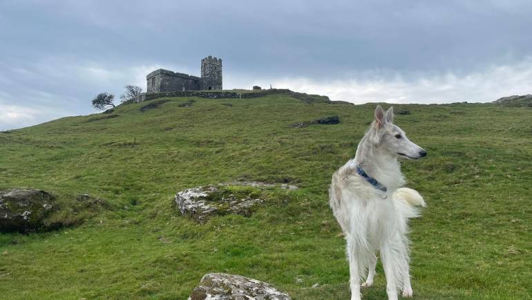 From Moor to Coast: Adventures Around Swallow Barn