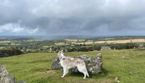 Sourton Dartmoor 