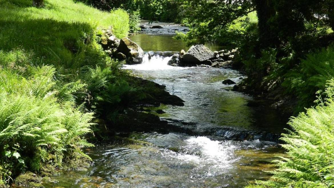 Relax, Explore and Enjoy! 🤩