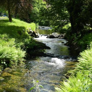 Relax, Explore and Enjoy! 🤩