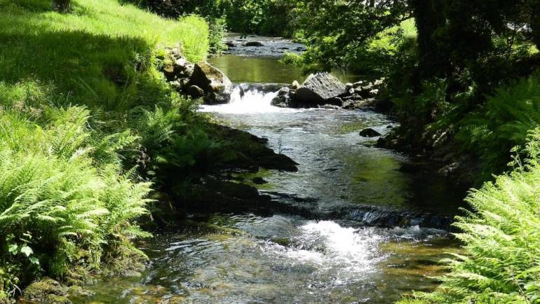 Relax, Explore and Enjoy! 🤩